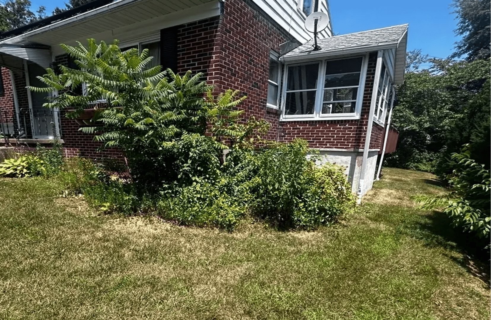 Green plants around brick house corner