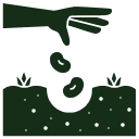 Hand planting seeds in soil