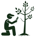 Silhouette of gardener with tree